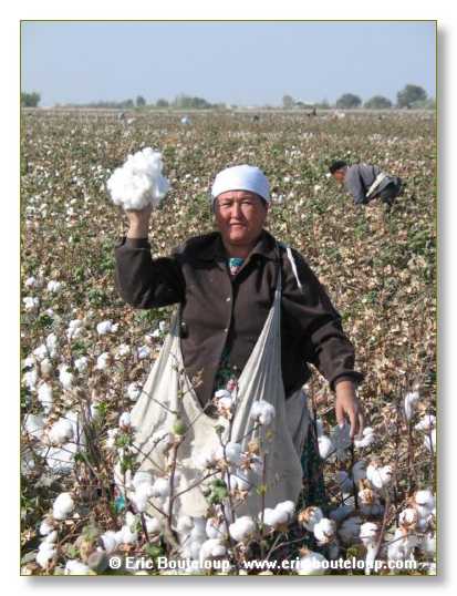 463_OUZBEKISTAN_2004_Boukhara