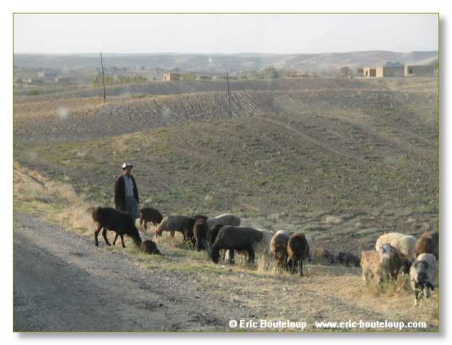 778_OUZBEKISTAN_2004_Chakri_Chab