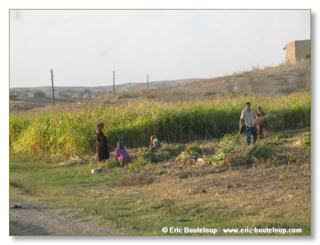 779_OUZBEKISTAN_2004_Chakri_Chab