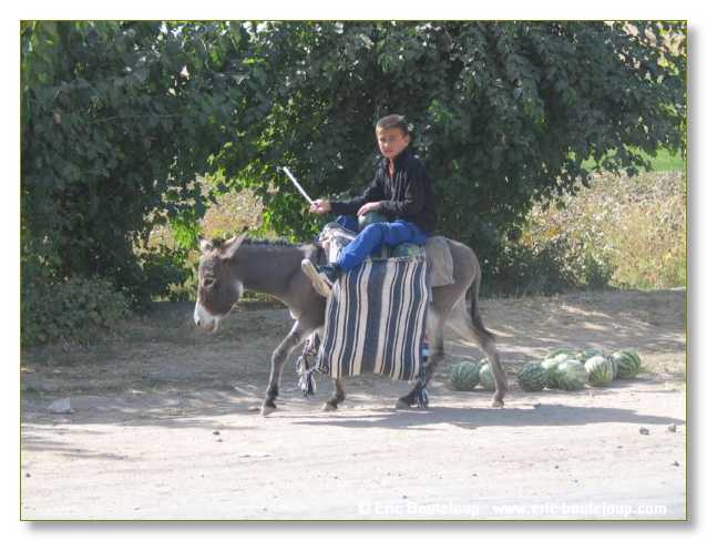 799_OUZBEKISTAN_2004_Chakri_Chab