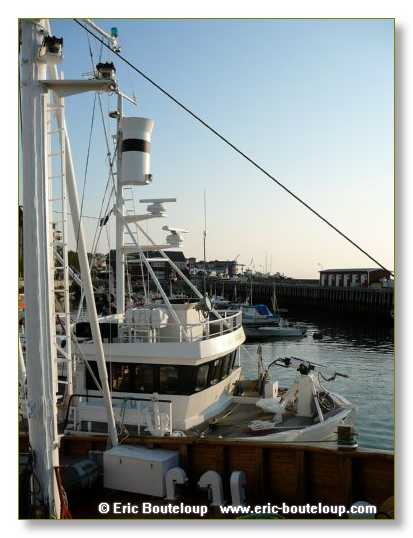 127_SCANDINAVIE_2006