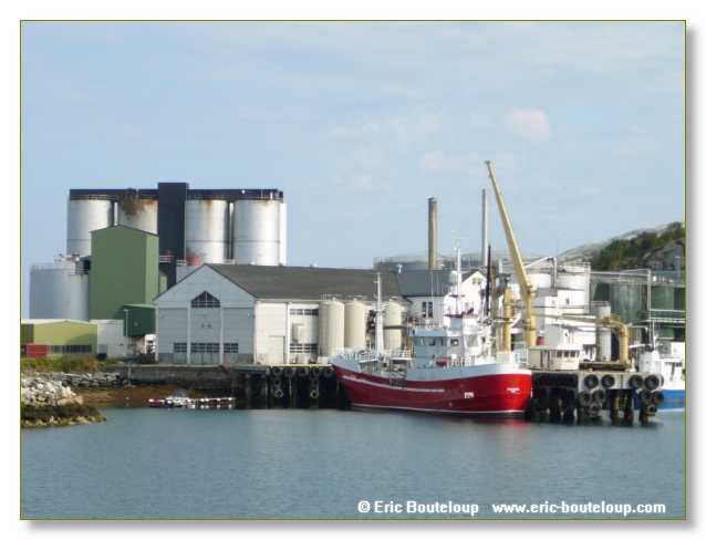 131_SCANDINAVIE_2006