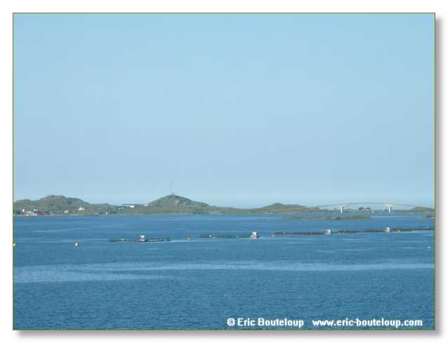 153_SCANDINAVIE_2006