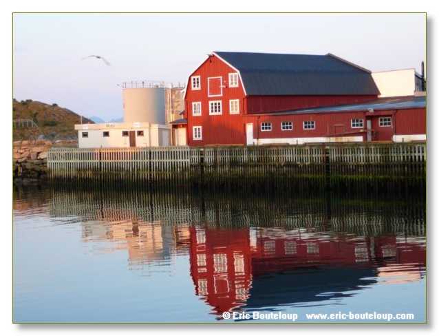 168_SCANDINAVIE_2006