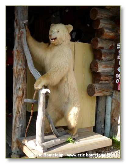 257_SCANDINAVIE_2006