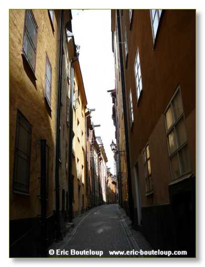 364_SCANDINAVIE_2006