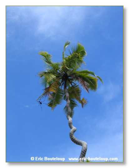 008_SEYCHELLES_2005_Mahe_