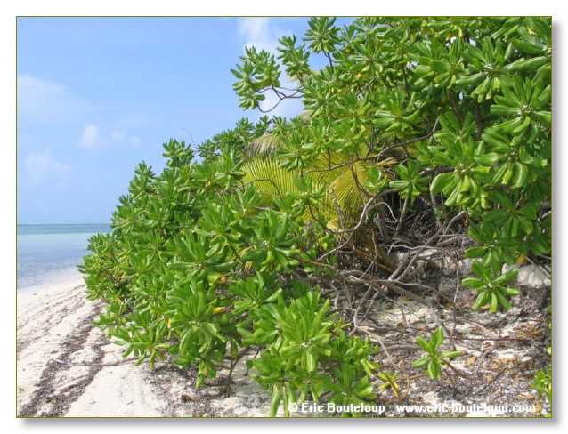 017_SEYCHELLES_2005_Mahe_