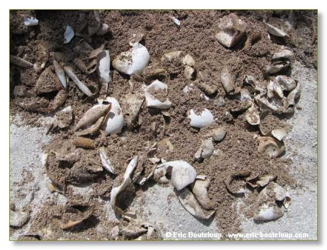 027_SEYCHELLES_2005_Mahe_