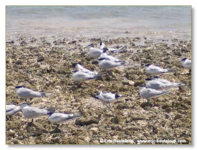 030_SEYCHELLES_2005_Mahe_