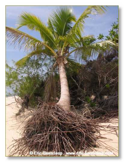 031_SEYCHELLES_2005_Mahe_