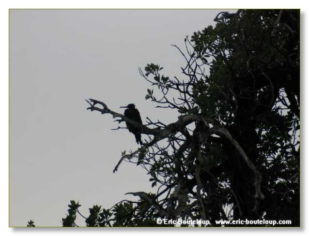 034_SEYCHELLES_2005_Mahe_