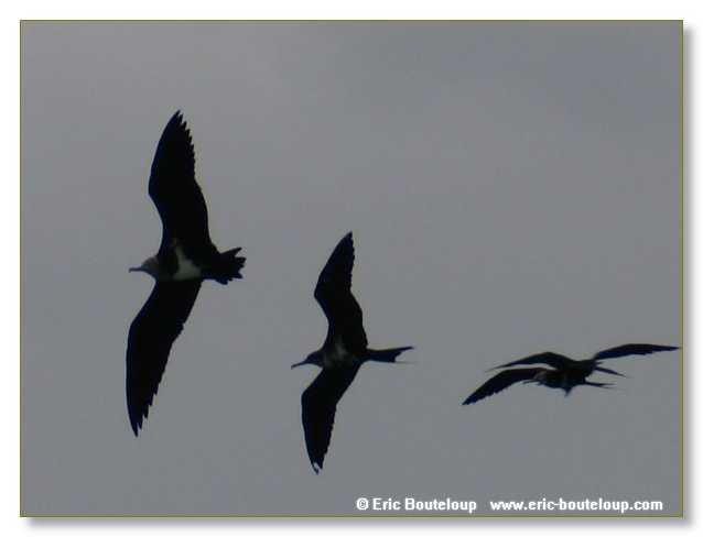 036_SEYCHELLES_2005_Mahe_