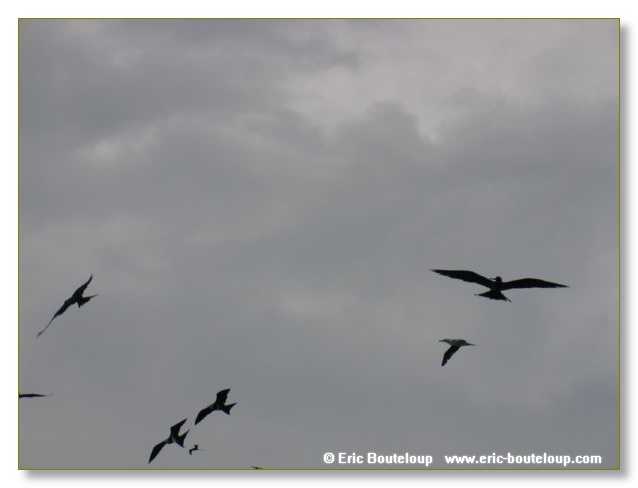 037_SEYCHELLES_2005_Mahe_