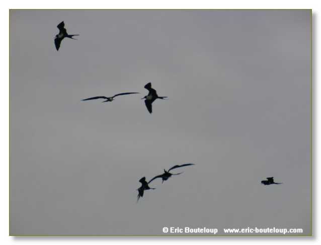 038_SEYCHELLES_2005_Mahe_