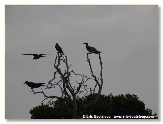 041_SEYCHELLES_2005_Mahe_