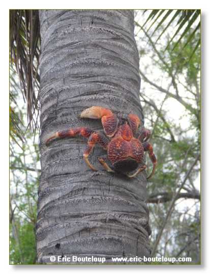 059_SEYCHELLES_2005_Mahe_