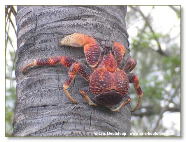 060_SEYCHELLES_2005_Mahe_