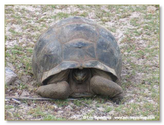 064_SEYCHELLES_2005_Mahe_