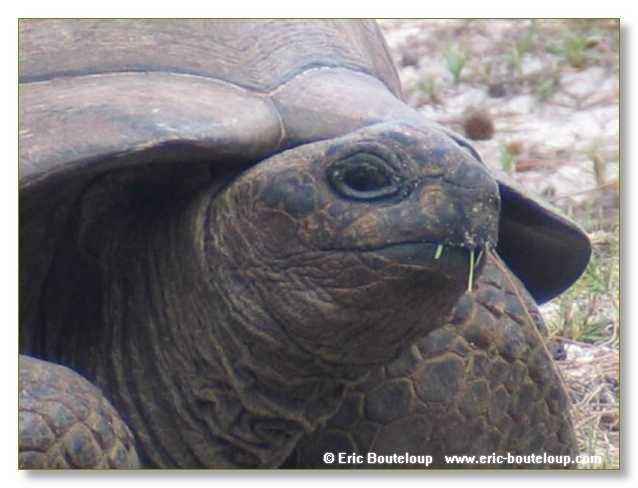 065_SEYCHELLES_2005_Mahe_