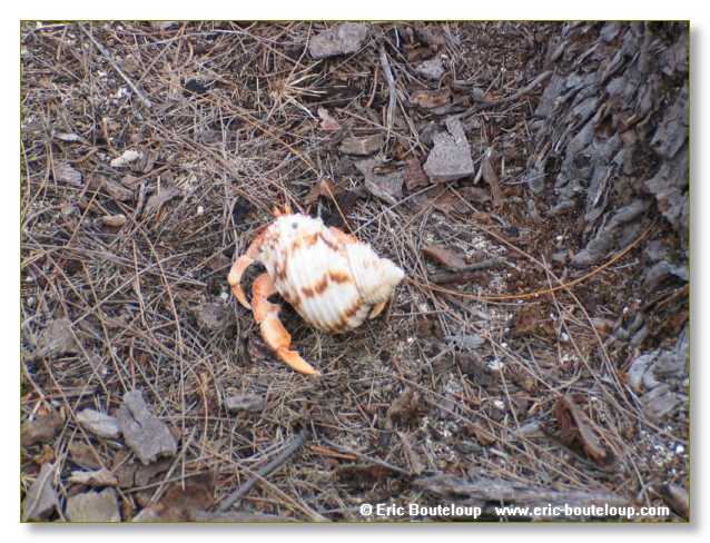 067_SEYCHELLES_2005_Mahe_