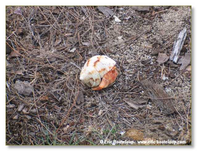 069_SEYCHELLES_2005_Mahe_