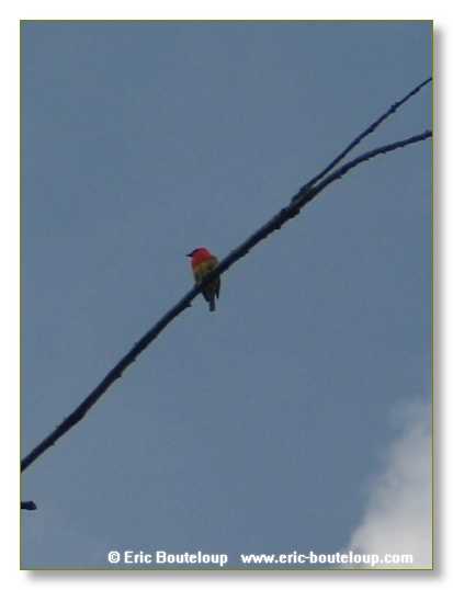 070_SEYCHELLES_2005_Mahe_