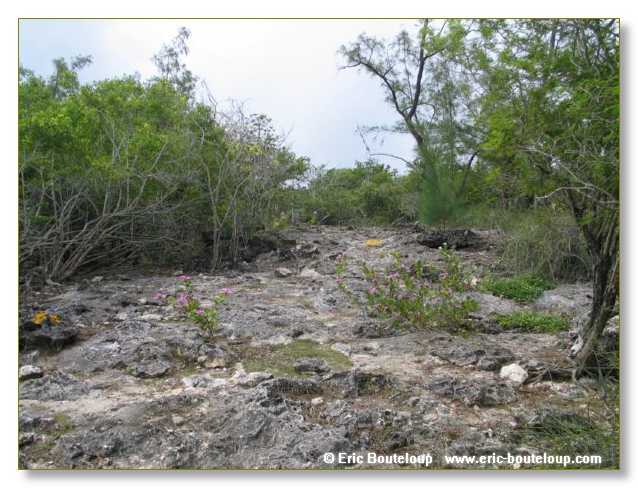076_SEYCHELLES_2005_Mahe_