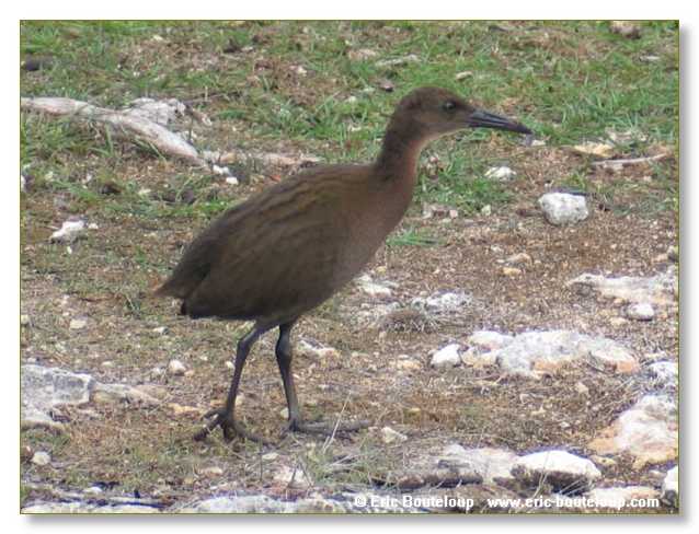 083_SEYCHELLES_2005_Mahe_