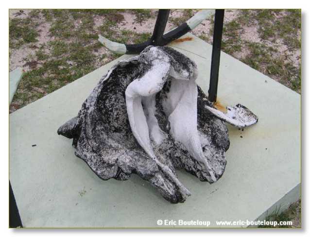 086_SEYCHELLES_2005_Mahe_