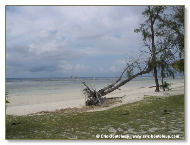 087_SEYCHELLES_2005_Mahe_