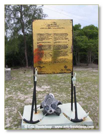 091_SEYCHELLES_2005_Mahe_