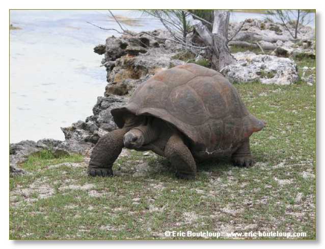 092_SEYCHELLES_2005_Mahe_