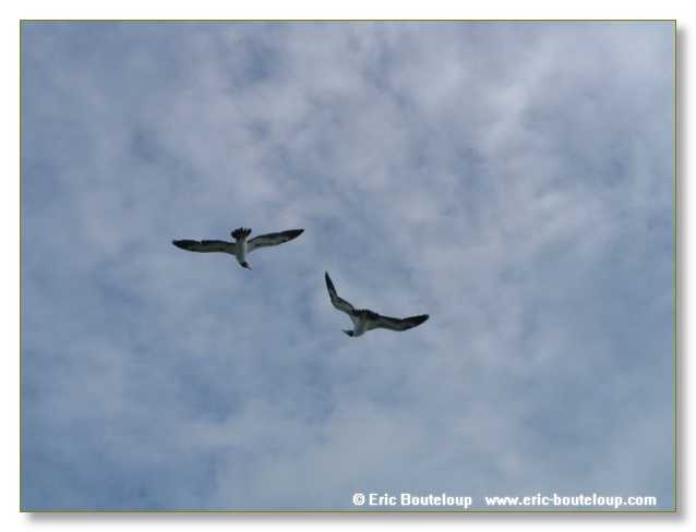 109_SEYCHELLES_2005_Mahe_