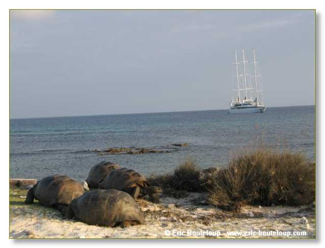 114_SEYCHELLES_2005_Mahe_