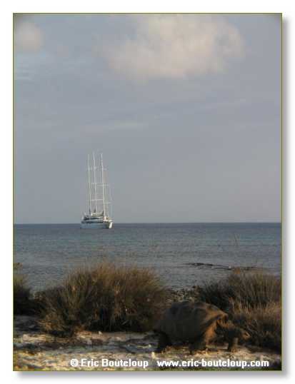 115_SEYCHELLES_2005_Mahe_