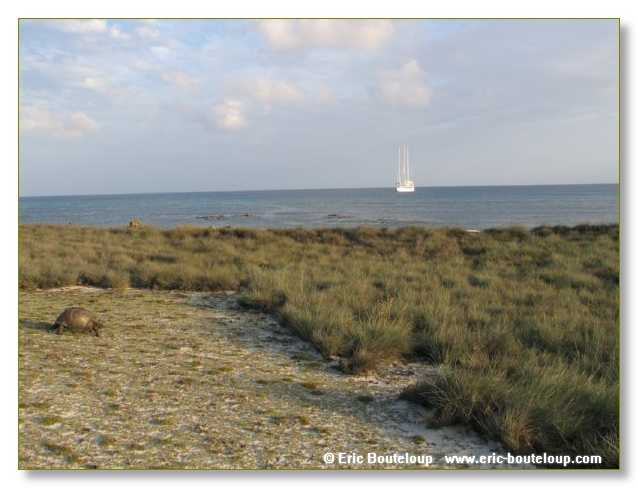 119_SEYCHELLES_2005_Mahe_