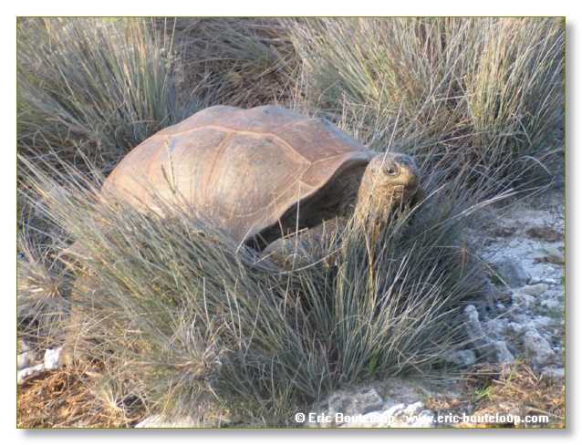 125_SEYCHELLES_2005_Mahe_