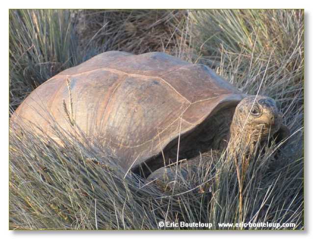 126_SEYCHELLES_2005_Mahe_