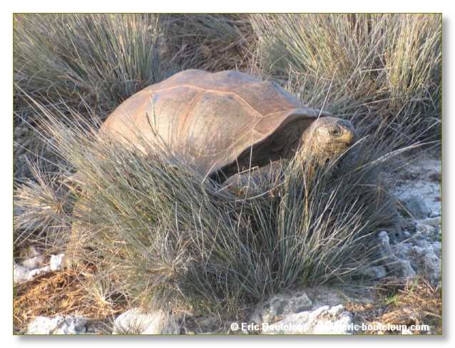 127_SEYCHELLES_2005_Mahe_