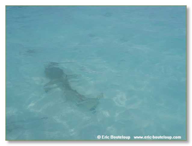 136_SEYCHELLES_2005_Mahe_