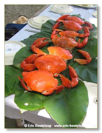 156_SEYCHELLES_2005_Mahe_