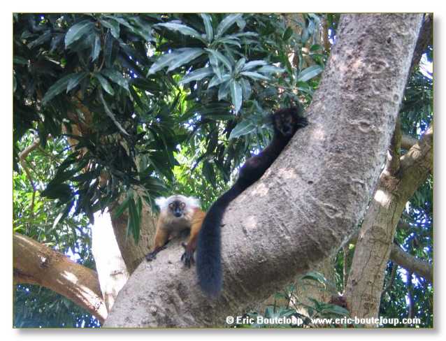 168_SEYCHELLES_2005_Mahe_