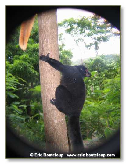 198_SEYCHELLES_2005_Mahe_