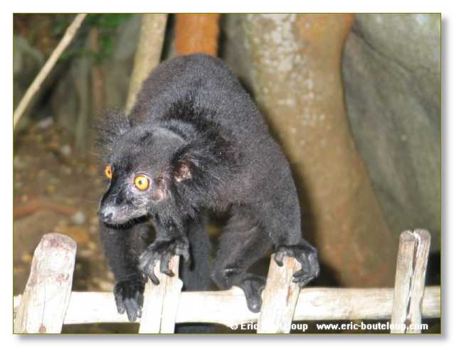 202_SEYCHELLES_2005_Mahe_