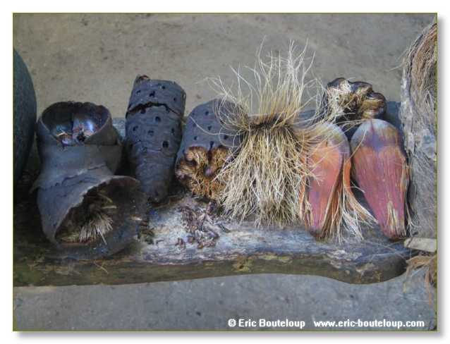 221_SEYCHELLES_2005_Mahe_