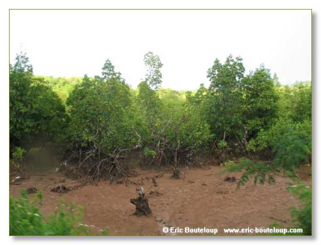 228_SEYCHELLES_2005_Mahe_