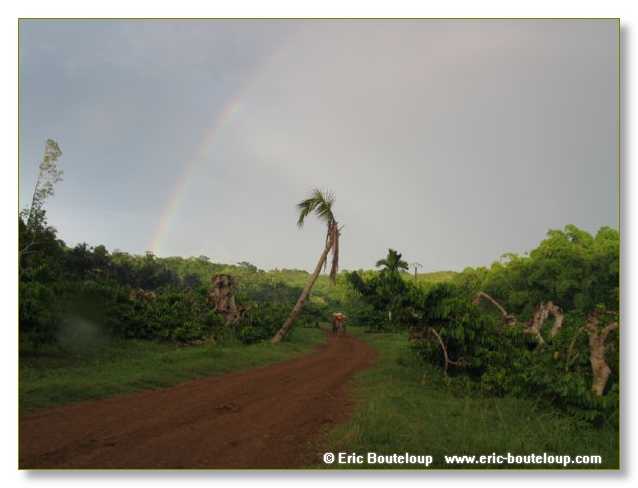 229_SEYCHELLES_2005_Mahe_