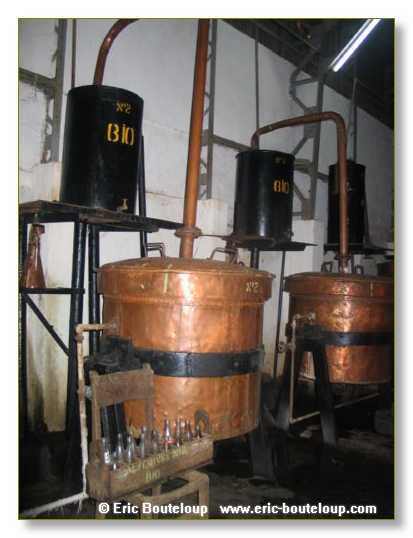 238_SEYCHELLES_2005_Mahe_