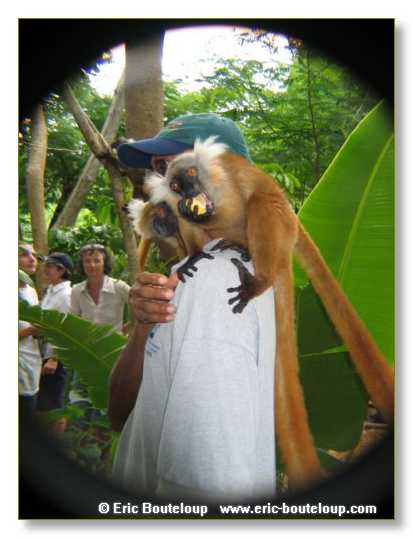 322_SEYCHELLES_2005_Mahe_